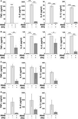 Src Family Kinases Regulate Interferon Regulatory Factor 1 K63 Ubiquitination following Activation by TLR7/8 Vaccine Adjuvant in Human Monocytes and B Cells